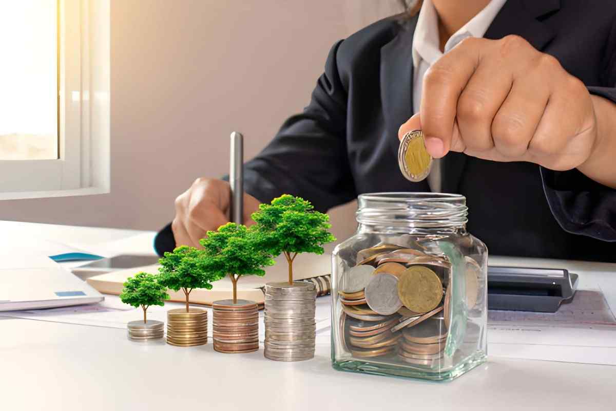 Bureaucratic Finance theory